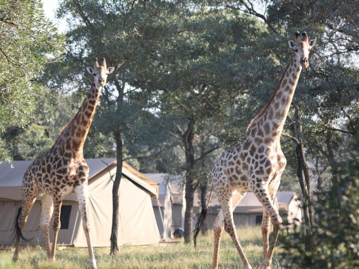 Unyati Safari Lodge Hectorspruit Luaran gambar