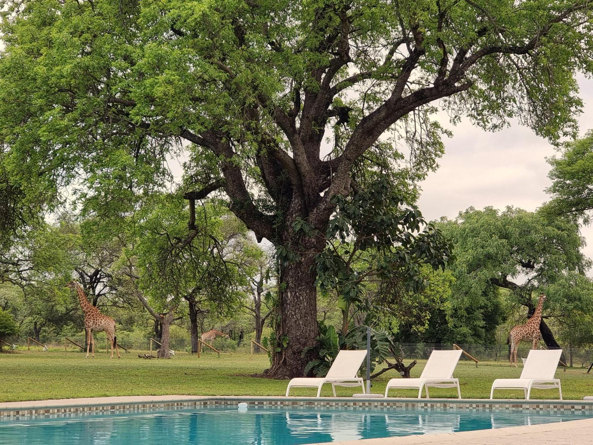 Unyati Safari Lodge Hectorspruit Luaran gambar
