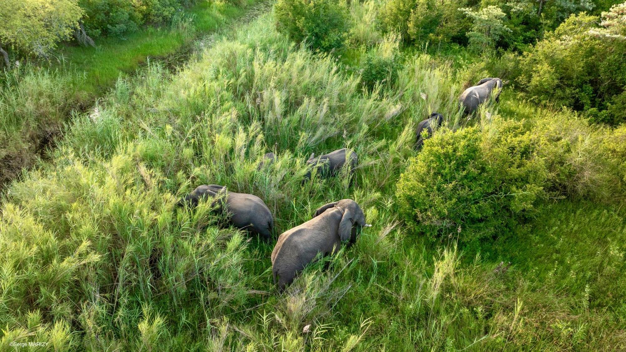 Unyati Safari Lodge Hectorspruit Luaran gambar